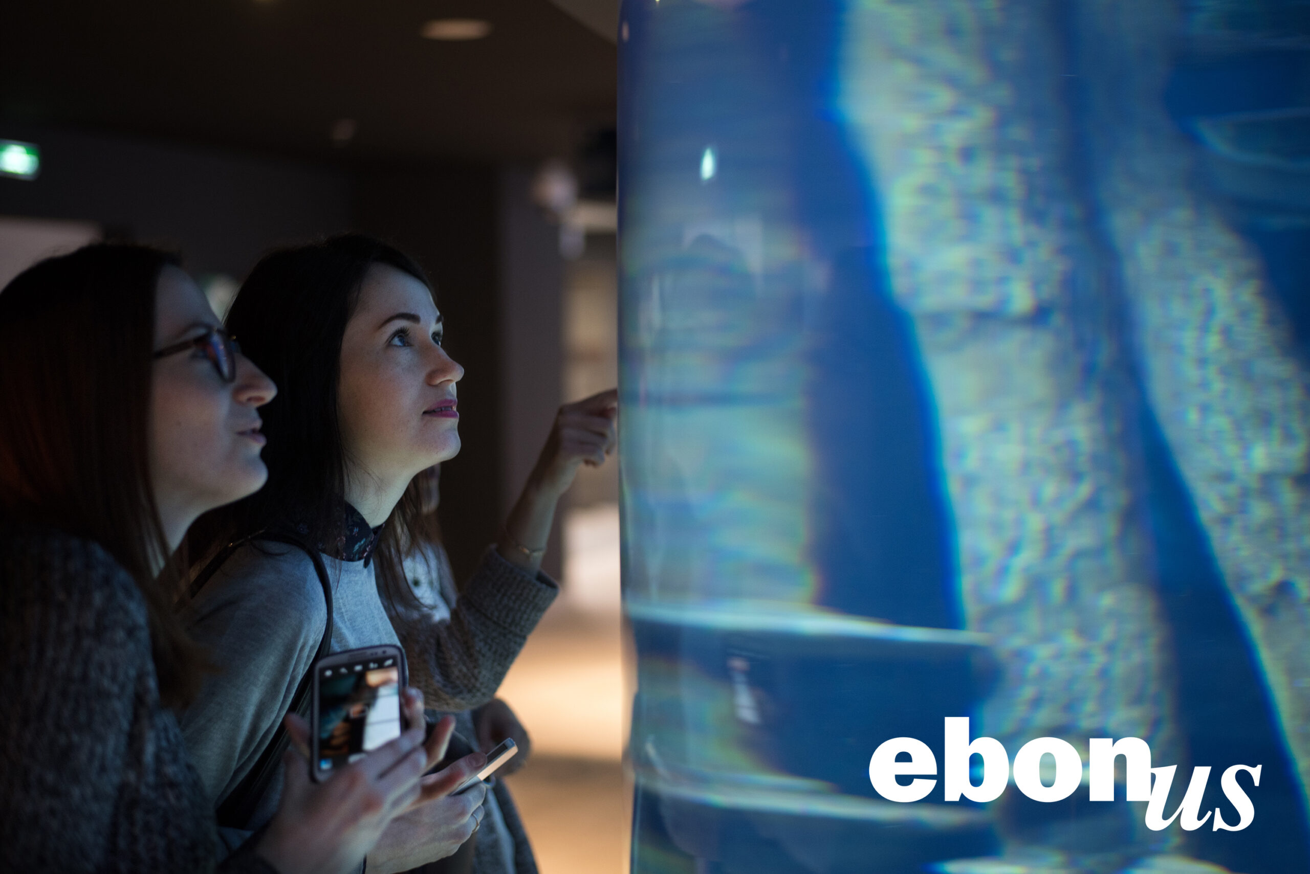 Ebonus Exhibition Snapshot.