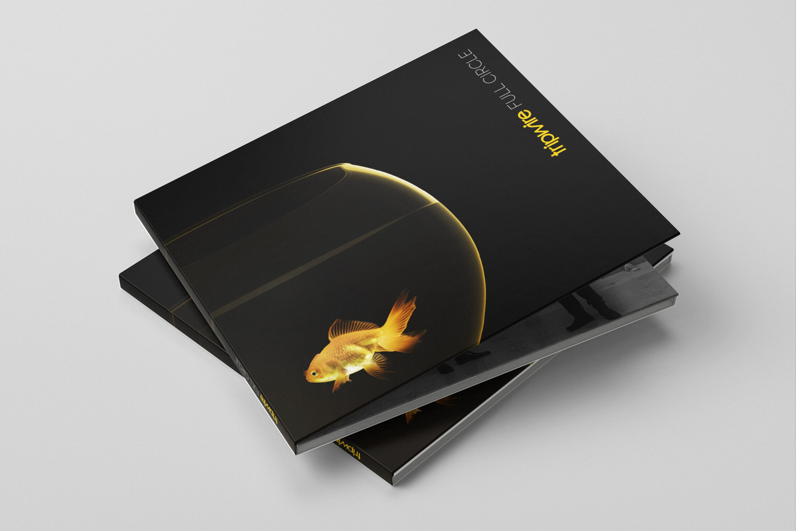 Tripwire-Full-Circle