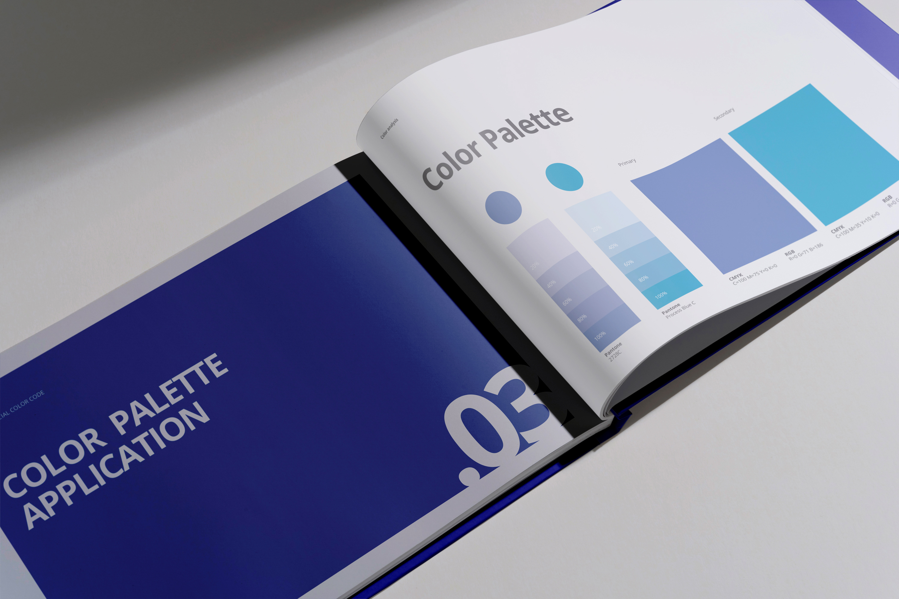 European Federation of Organisations For Medical Physics Brand Manual open spread.