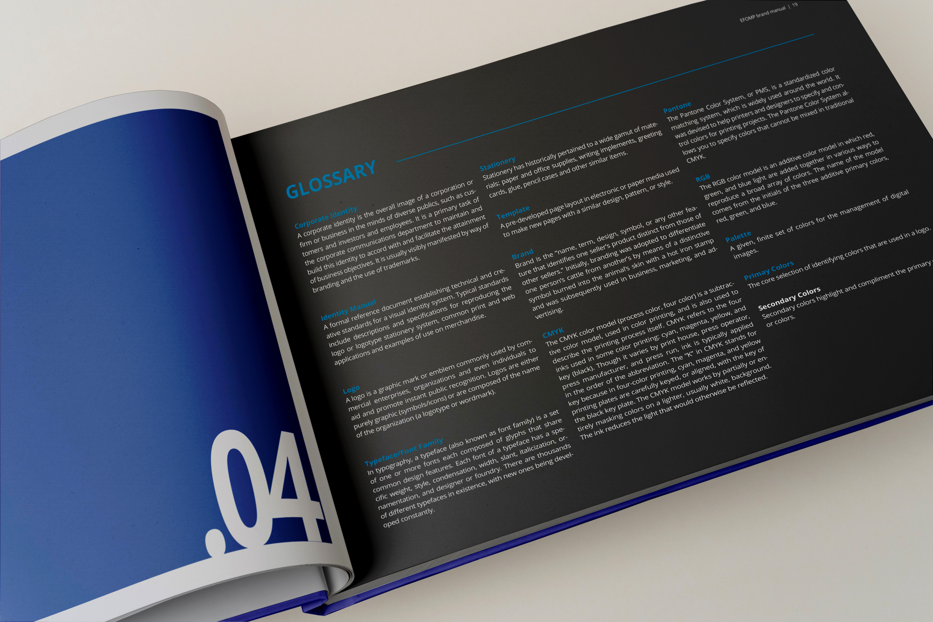 European Federation of Organisations For Medical Physics Brand Manual open spread.