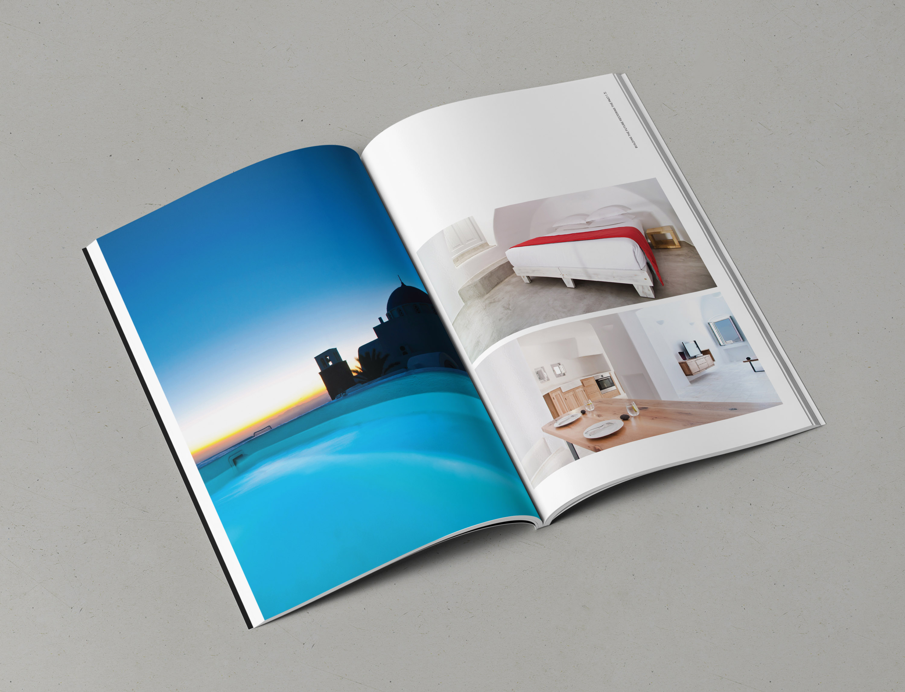 A showcase of Plethron’s company profile, featuring a full-page project on the left page and two pictures on the right.