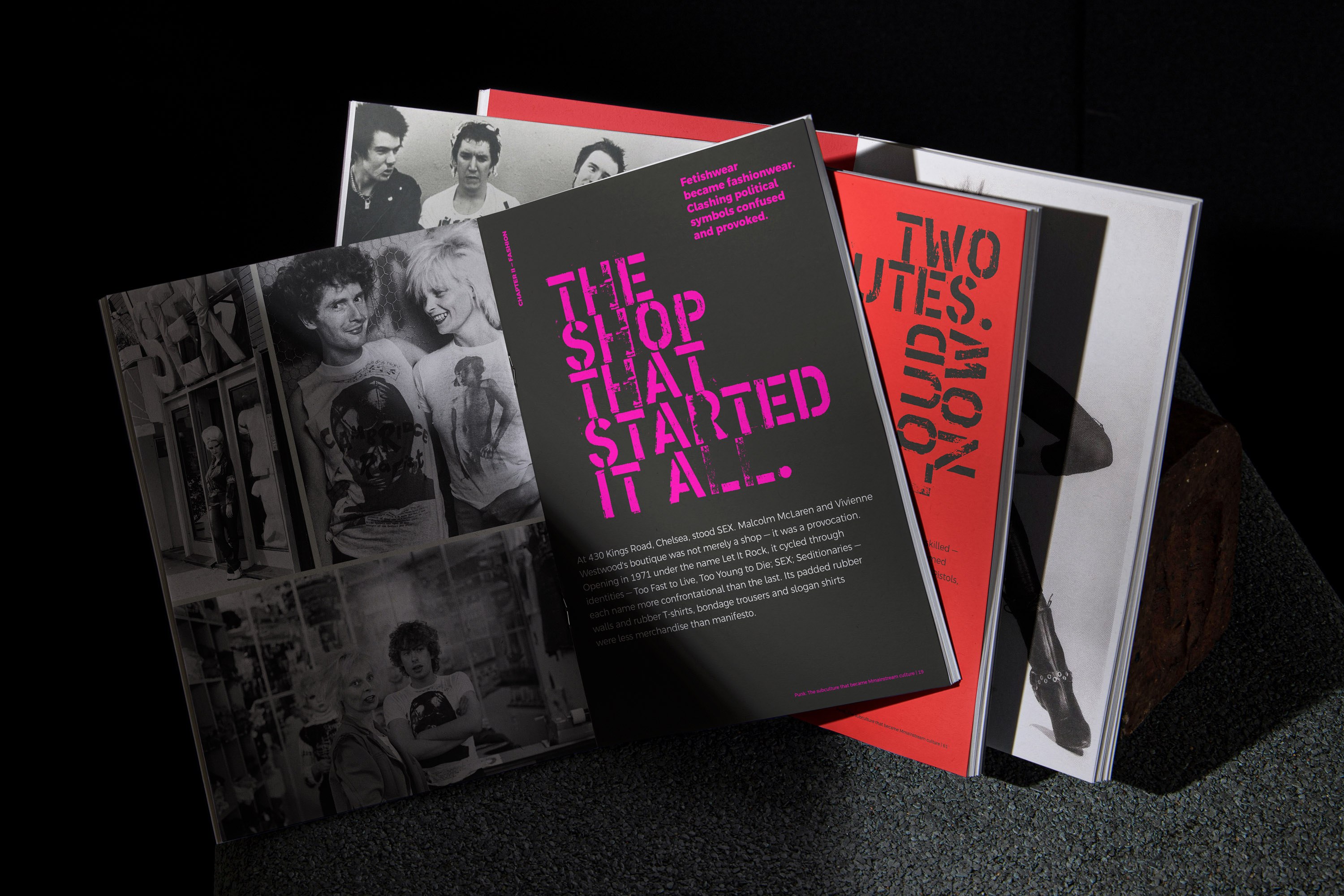 punk. Τhe subculture that became mainstream culture book. Open spreads.